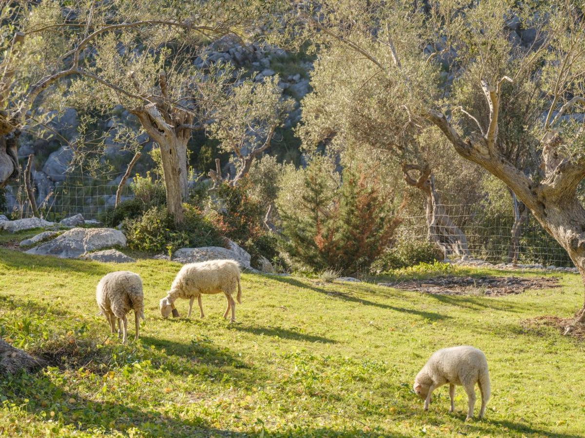 Agroturismo Muleta De Ca S'Hereu Puerto de Sóller Ngoại thất bức ảnh